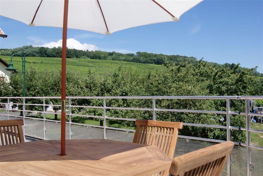 Binnert Bader Holiday home