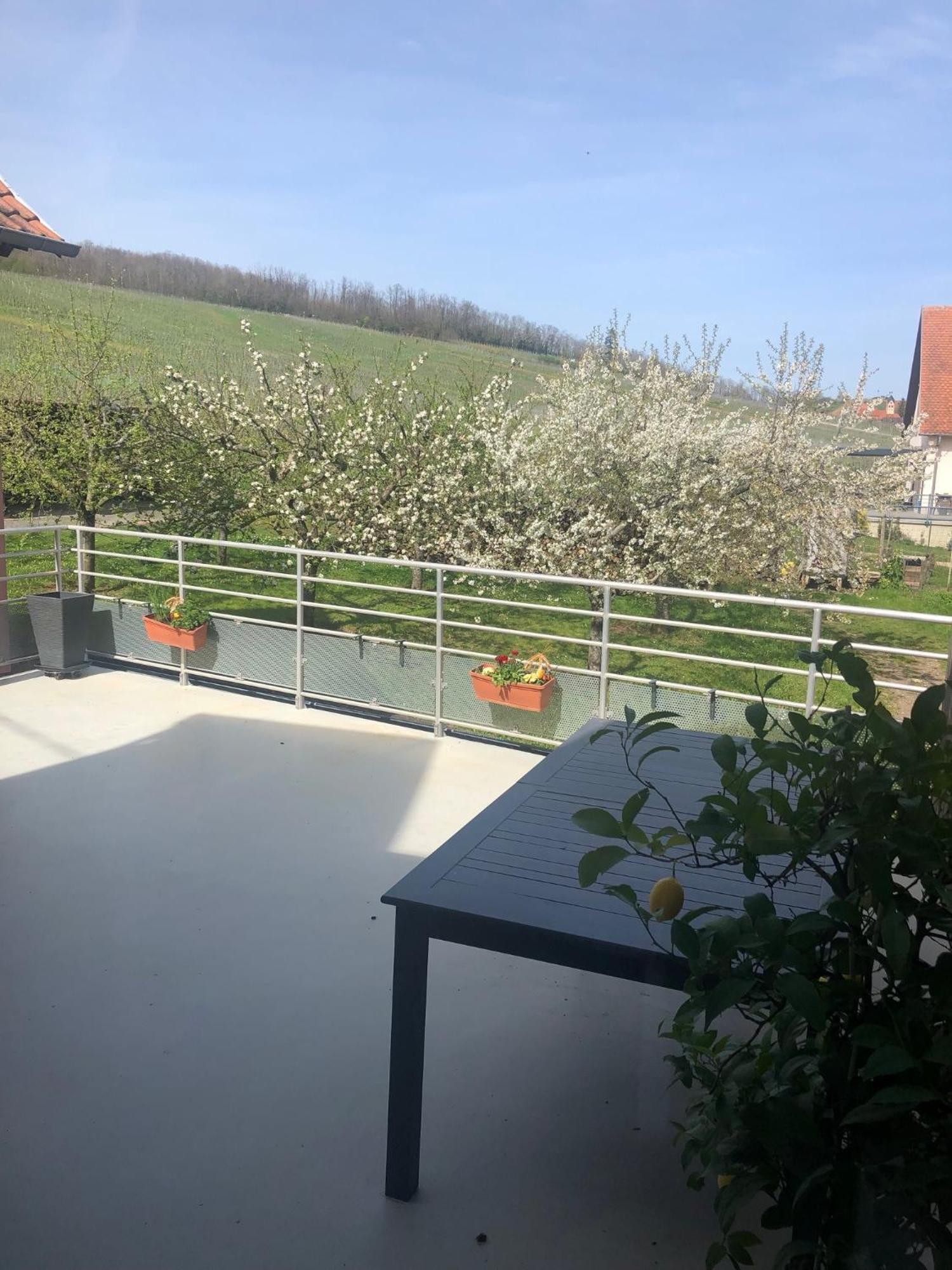 Binnert Bader Holiday home Nothalten